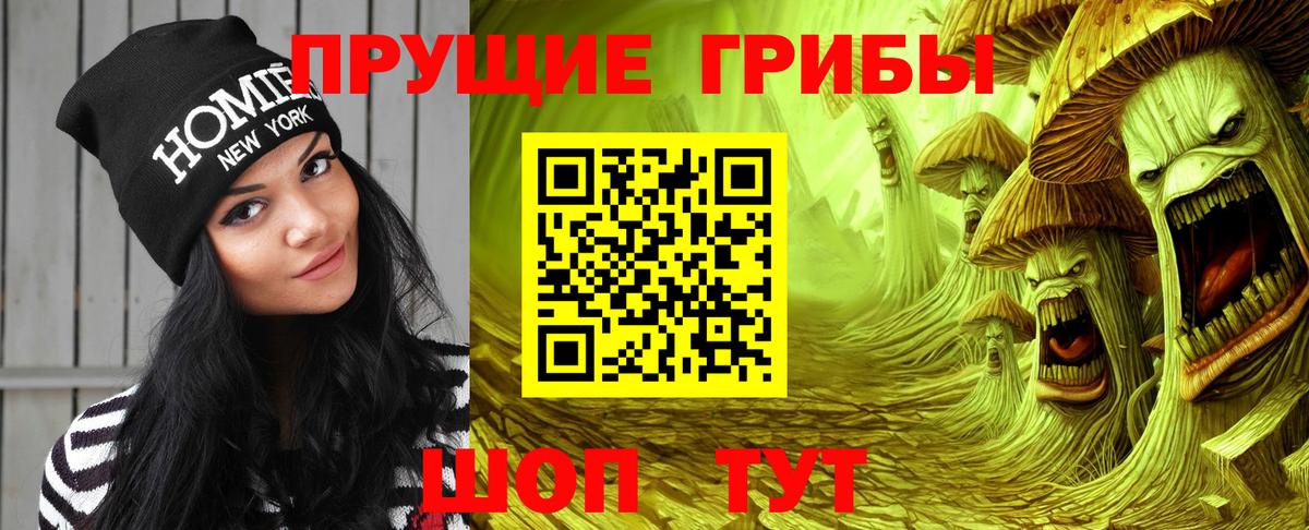 Троицк  Галлюциногенные грибы Psilocybine cubensis  Псилоцибиновые грибы мухоморы  Вход с VPN 
