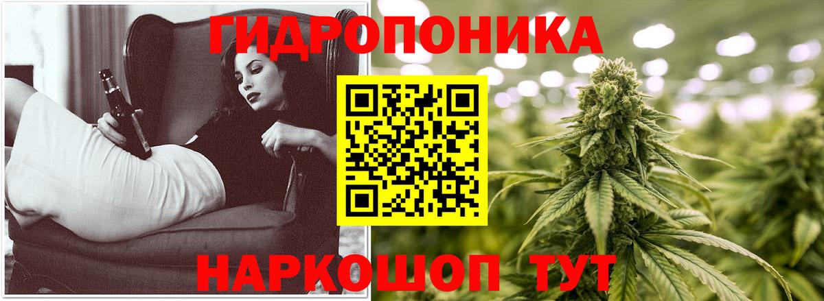 Троицк  Шишки марихуана конопля  Вход с VPN  Шишки марихуана OG Kush 